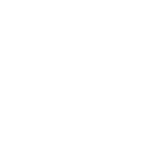 overlay (1)